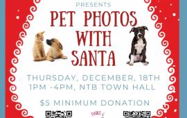 pet photos thumbnail