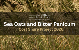 2026 Sea Oats & Bitter Panicum Flyer