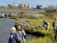 living shoreline 