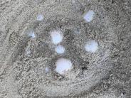 Turtle Eggs