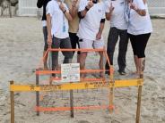 Topsail Turtle Volunteers posing with the nest