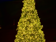 Tree Lighting from 2024