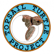 Topsail Turtle Project