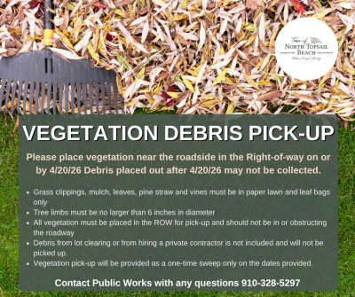 Vegetation Debris Pickup Flyer