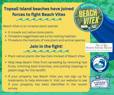 Project Beach Vitex