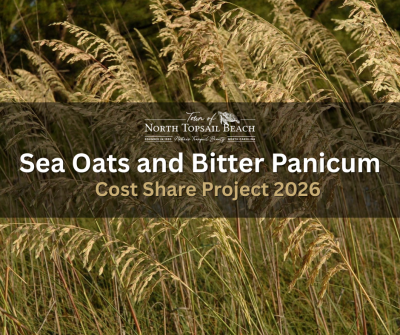 2026 Sea Oats & Bitter Panicum Flyer