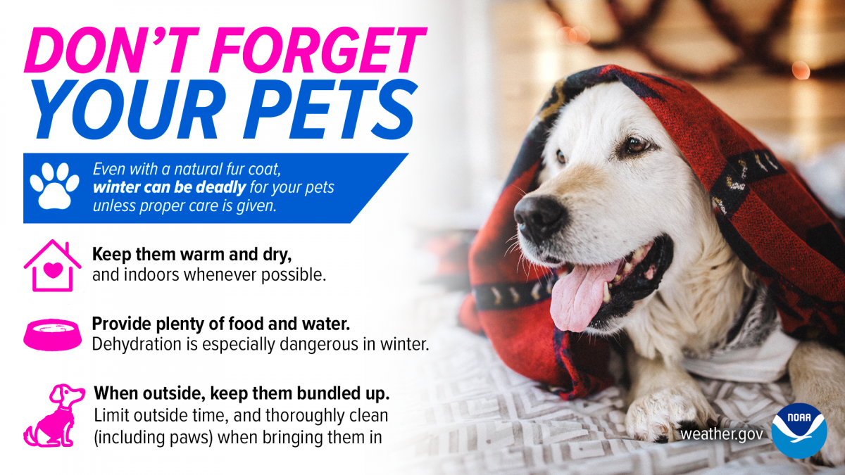 Dont forget your pets