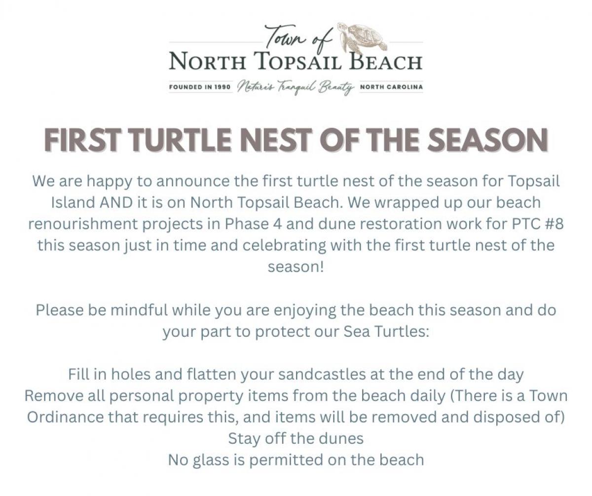 First Turtle Nest of the Season at NTB