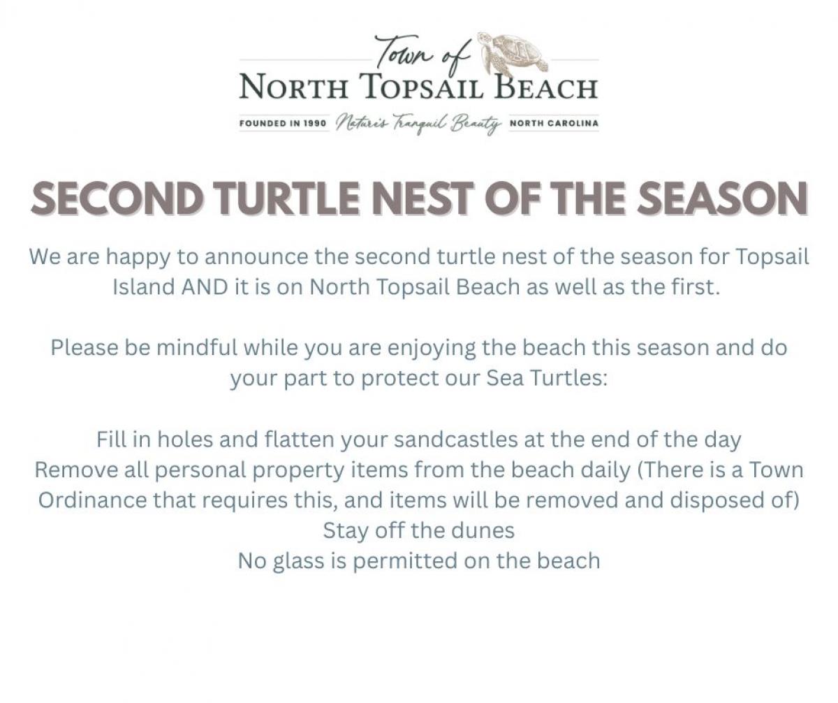 second turtle nest of the season