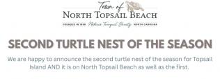 second turtle nest of the season