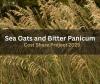 seaoats_thumbnail