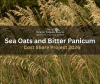 2026 Sea Oats & Bitter Panicum Flyer